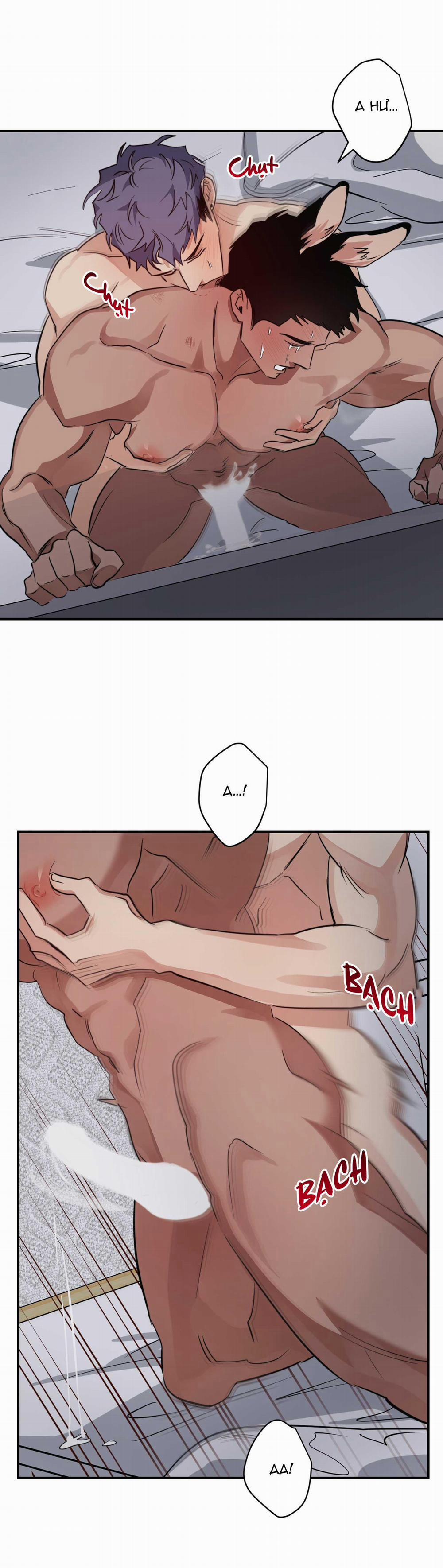 BỘ SƯU TẬP CIU TO-NGỰC BỰ CỦA NHÀ SẸC 22 trang 21