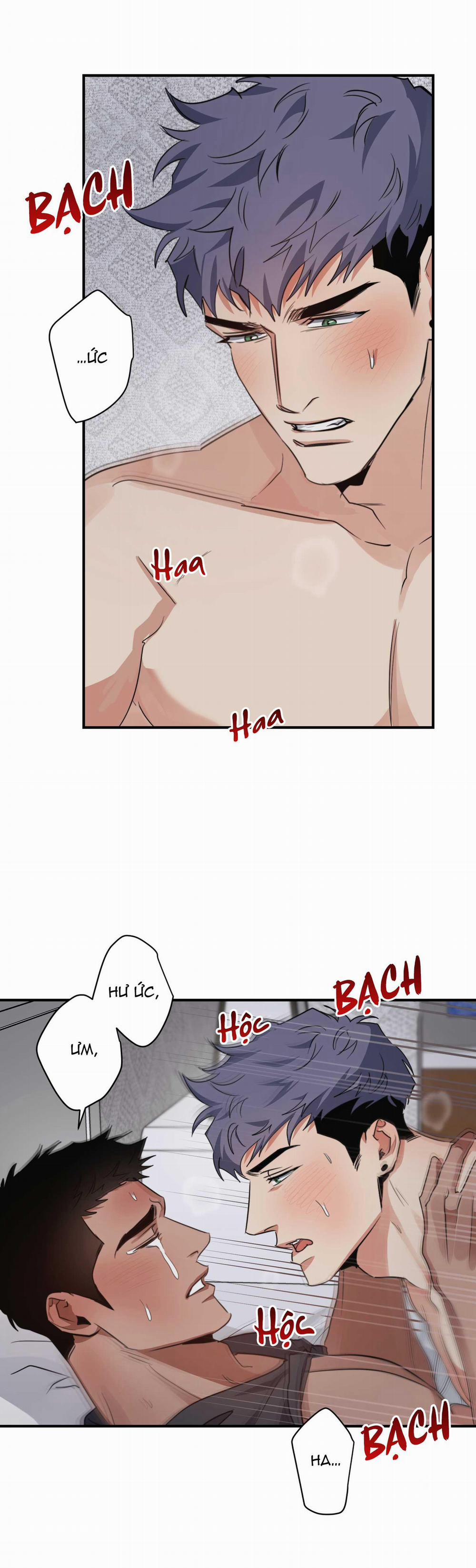 BỘ SƯU TẬP CIU TO-NGỰC BỰ CỦA NHÀ SẸC 22 trang 3