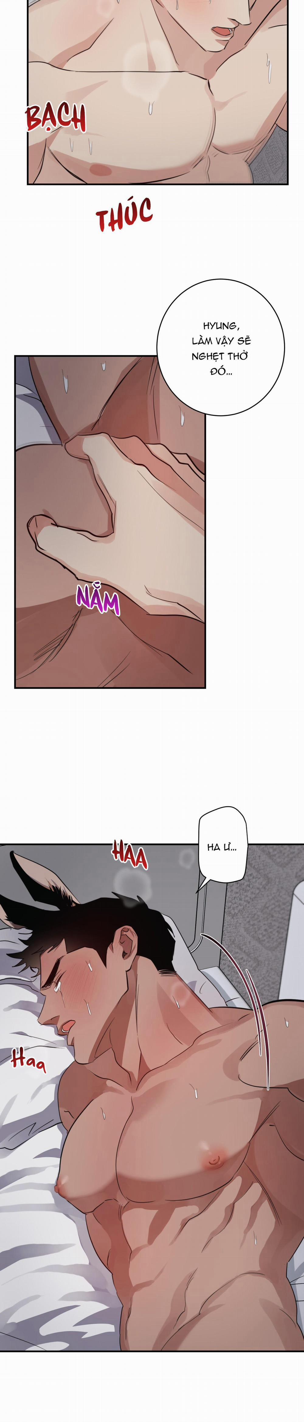 BỘ SƯU TẬP CIU TO-NGỰC BỰ CỦA NHÀ SẸC 22 trang 8