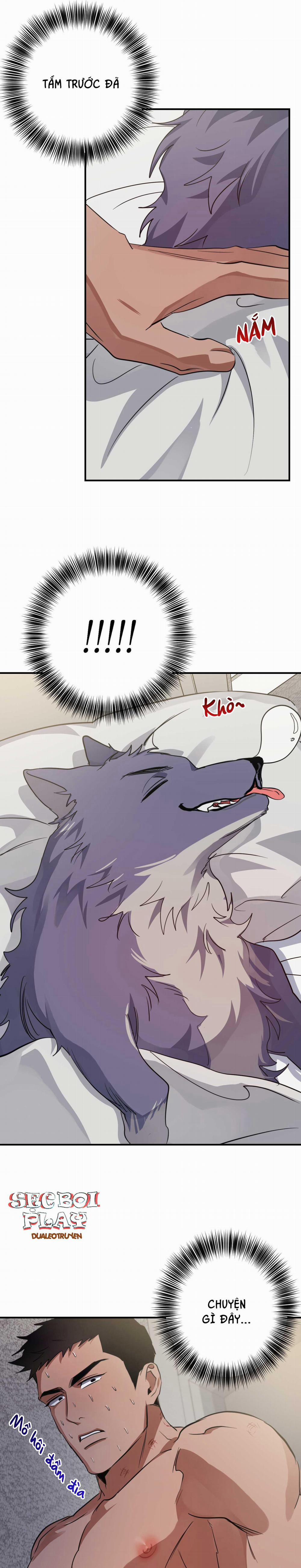 BỘ SƯU TẬP CIU TO-NGỰC BỰ CỦA NHÀ SẸC 23 trang 5