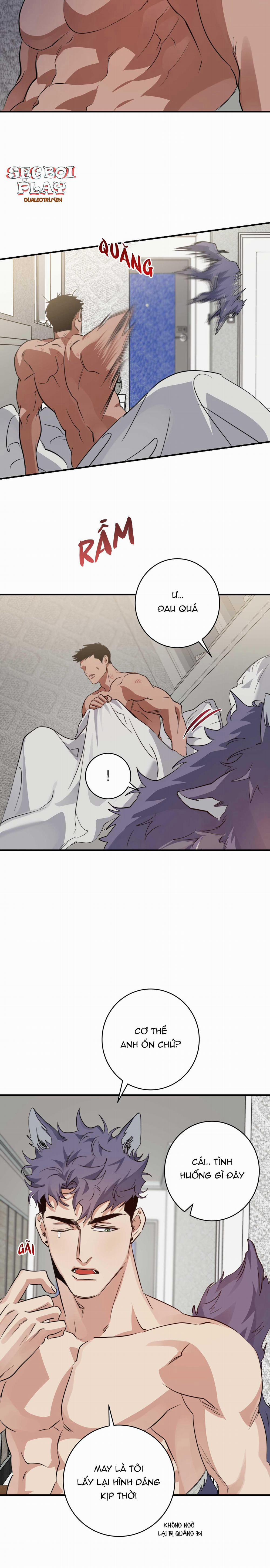 BỘ SƯU TẬP CIU TO-NGỰC BỰ CỦA NHÀ SẸC 23 trang 6