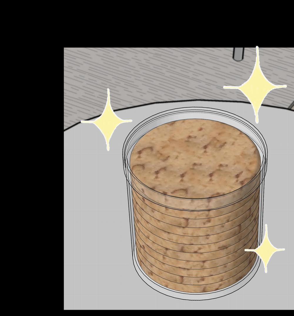 BỘ SƯU TẬP CIU TO-NGỰC BỰ CỦA NHÀ SẸC 28 trang 24