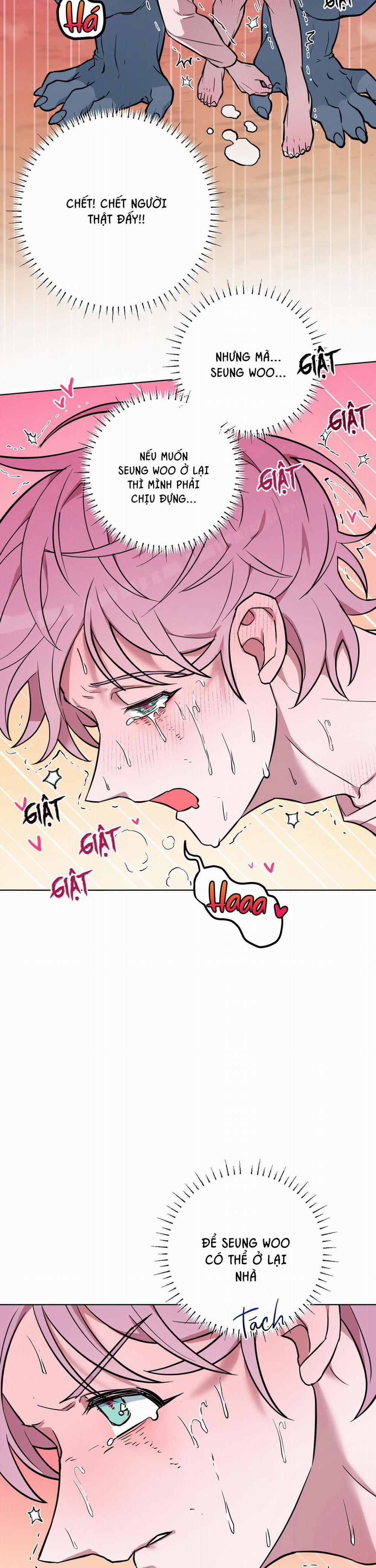 BỘ SƯU TẬP CIU TO-NGỰC BỰ CỦA NHÀ SẸC 37 trang 19