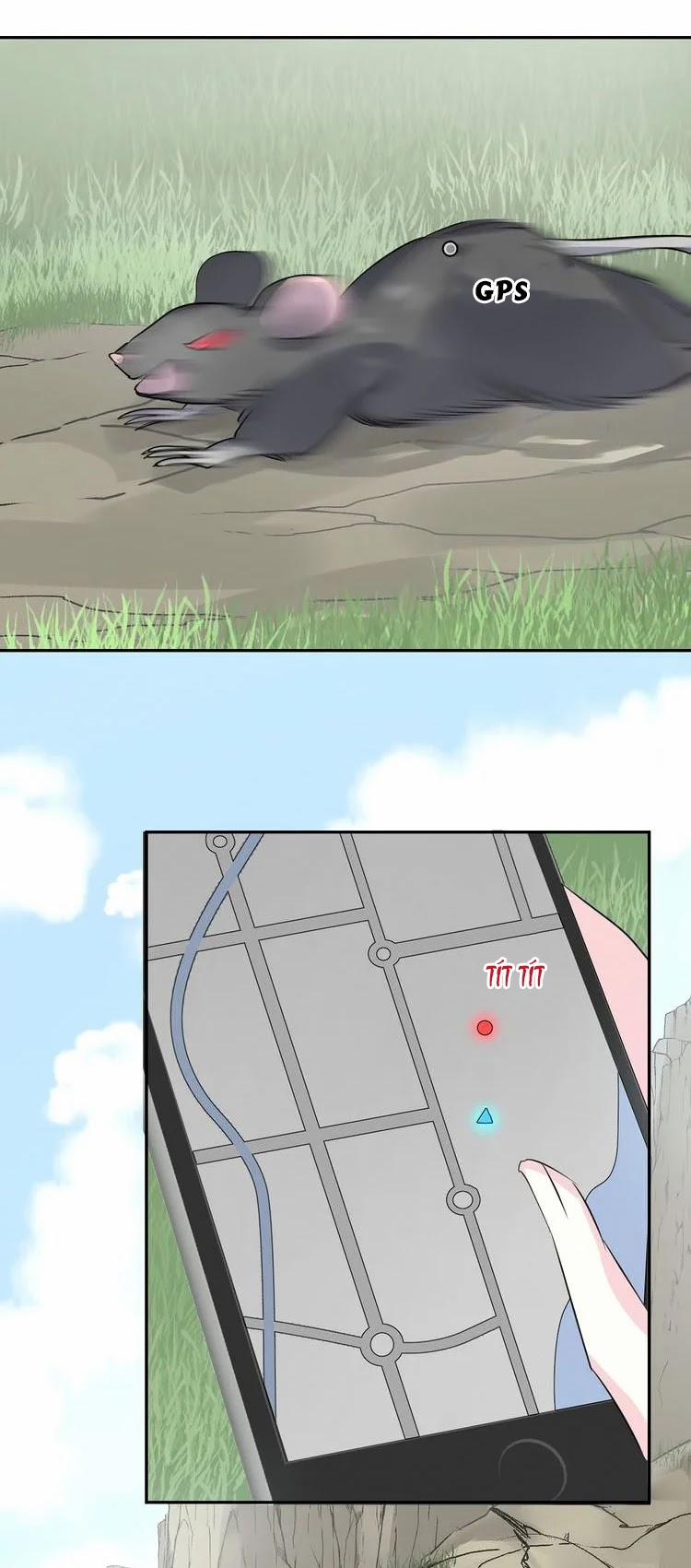 Bộ Váy Của Nàng Tiên Cá 12 trang 2