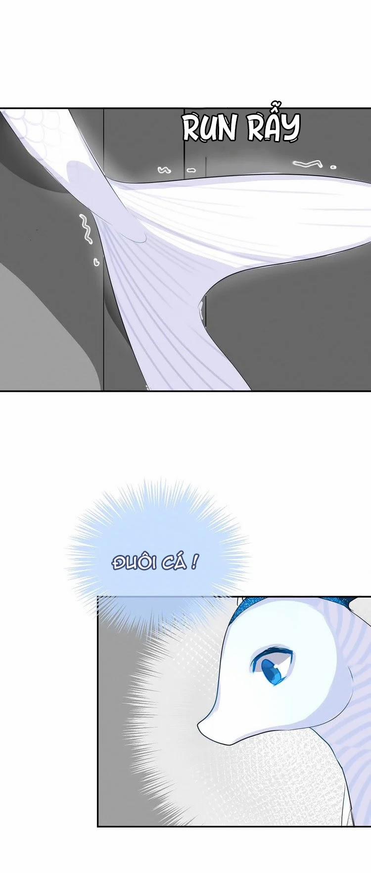 Bộ Váy Của Nàng Tiên Cá 13 trang 27
