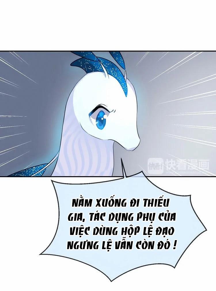 Bộ Váy Của Nàng Tiên Cá 15 trang 7