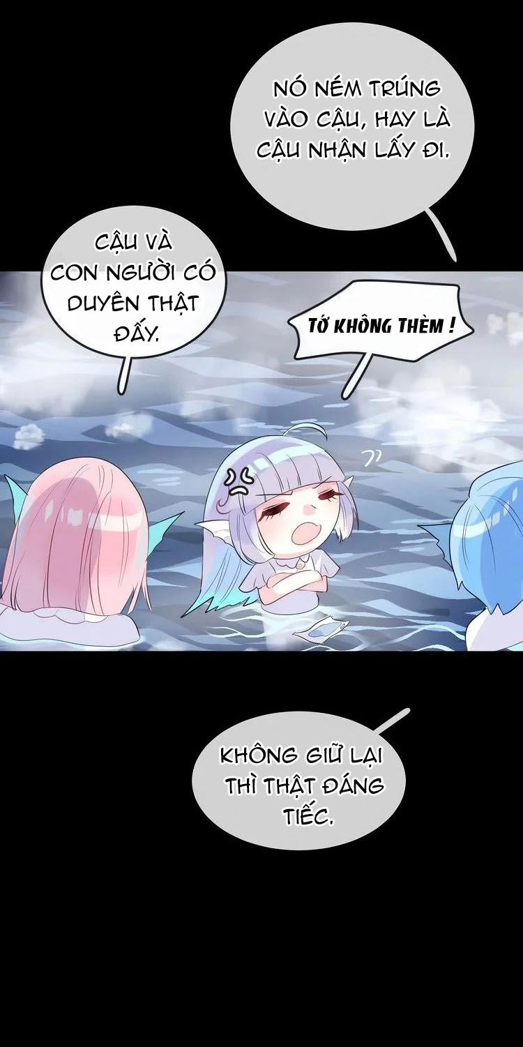 Bộ Váy Của Nàng Tiên Cá 16 trang 22