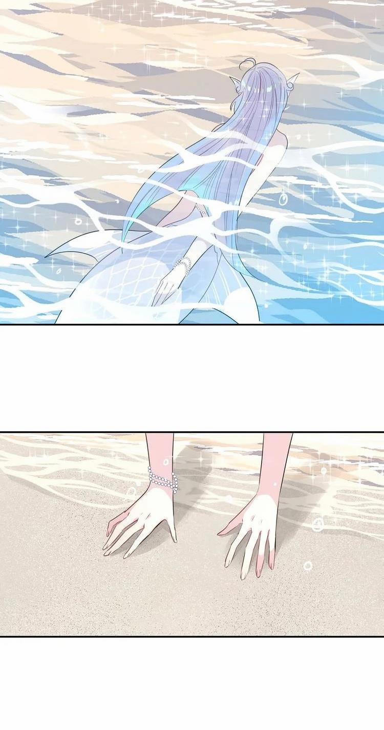 Bộ Váy Của Nàng Tiên Cá 17 trang 3