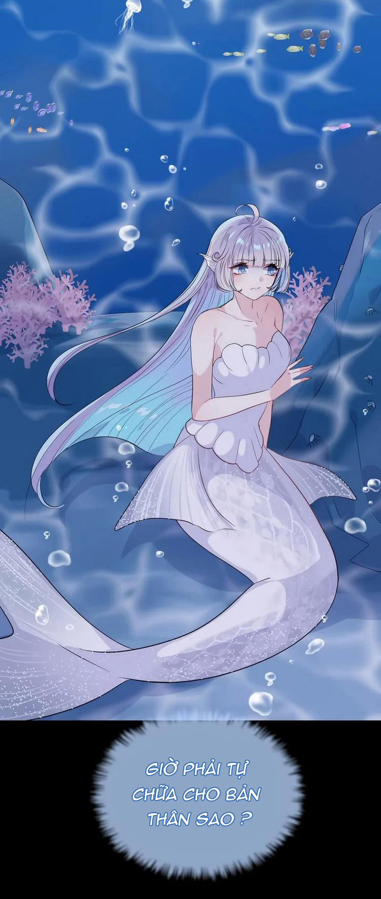 Bộ Váy Của Nàng Tiên Cá 18 trang 11