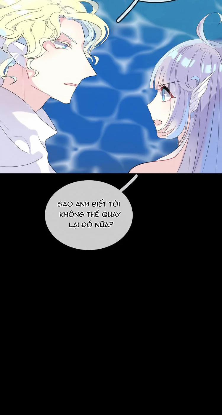 Bộ Váy Của Nàng Tiên Cá 18 trang 23