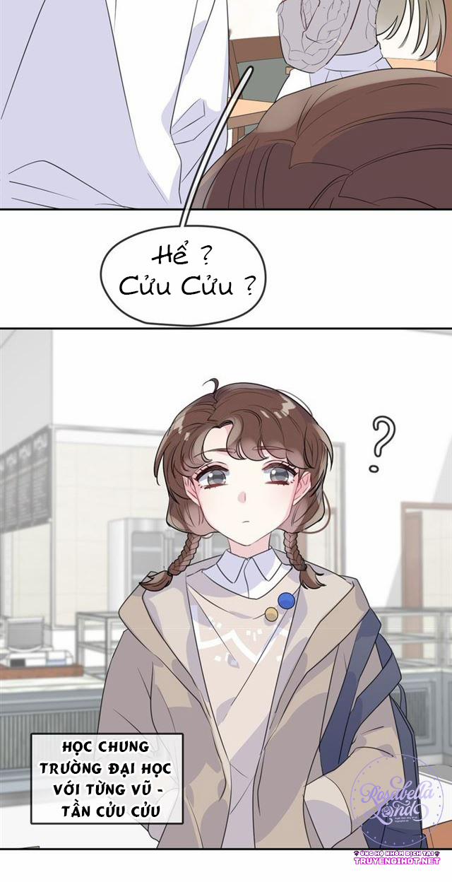 Bộ Váy Của Nàng Tiên Cá 20 trang 5