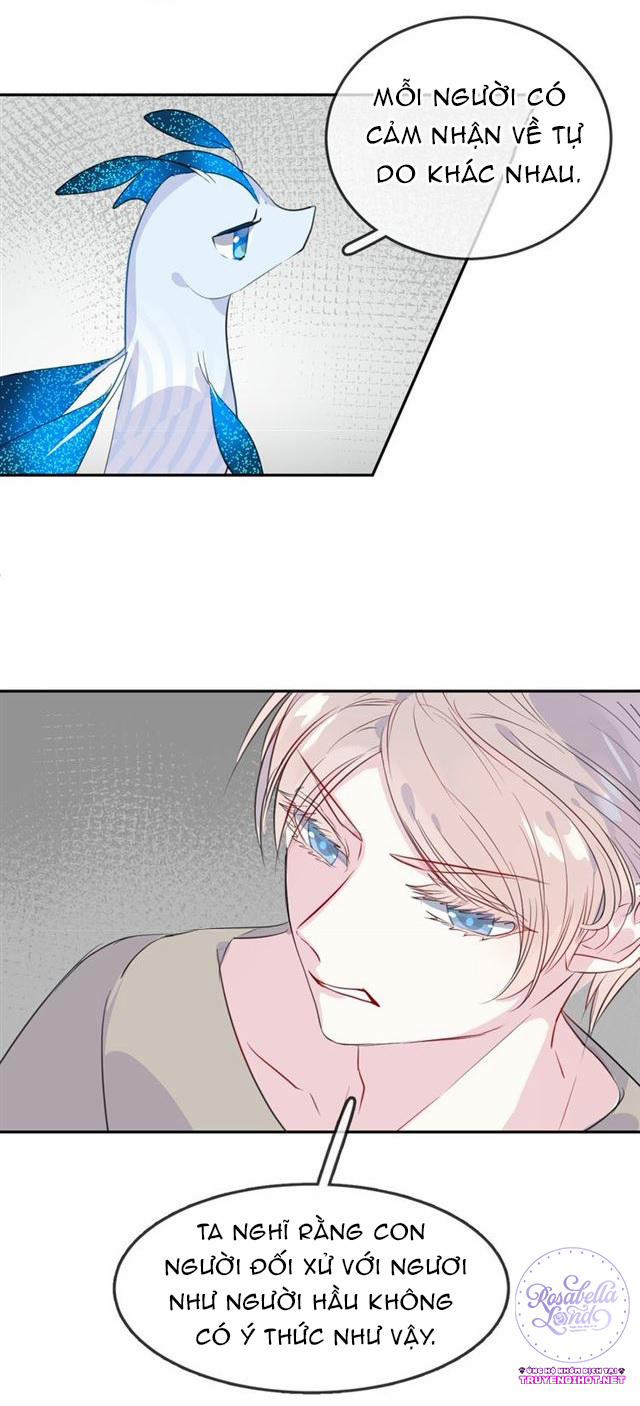 Bộ Váy Của Nàng Tiên Cá 21 trang 11