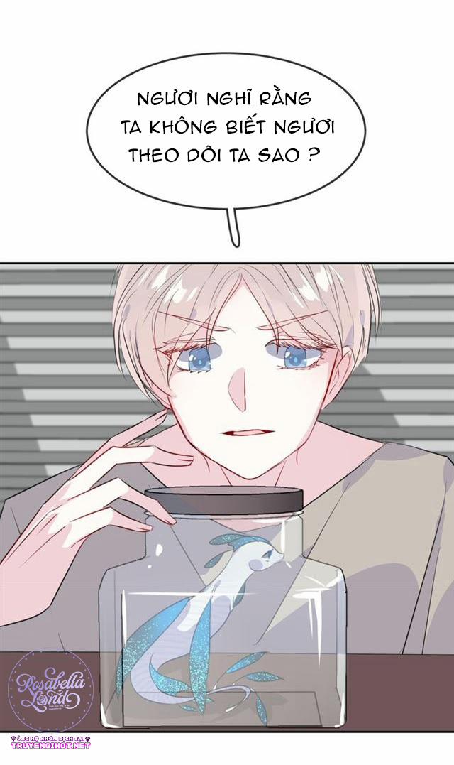 Bộ Váy Của Nàng Tiên Cá 21 trang 8