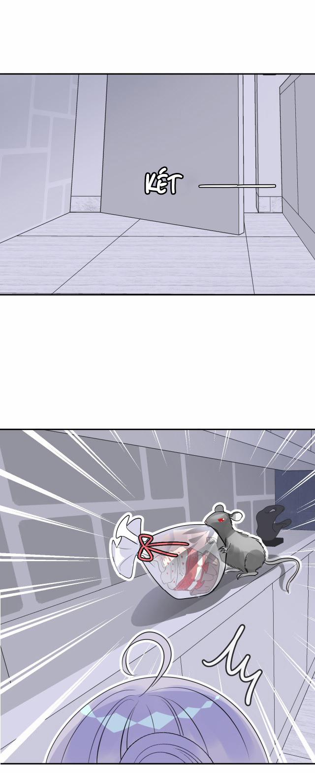 Bộ Váy Của Nàng Tiên Cá 8 trang 11