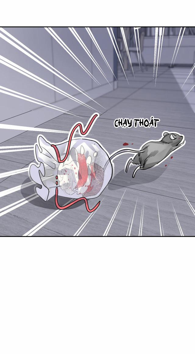 Bộ Váy Của Nàng Tiên Cá 8 trang 14