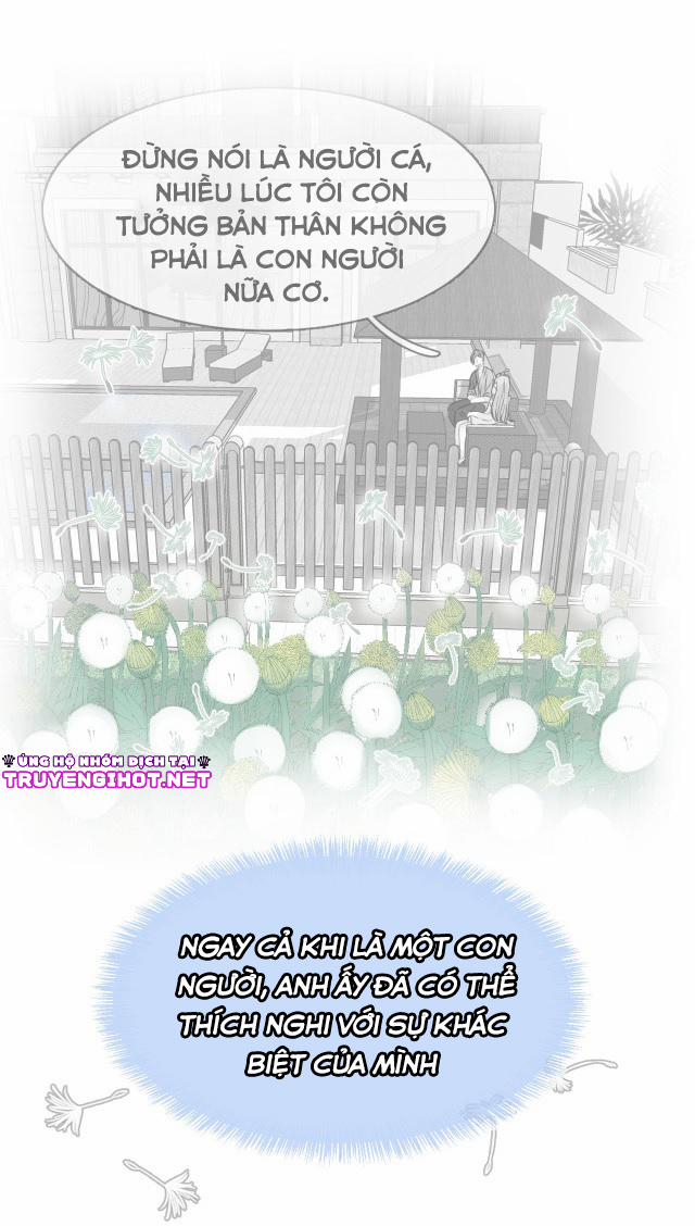 Bộ Váy Của Nàng Tiên Cá 8 trang 29