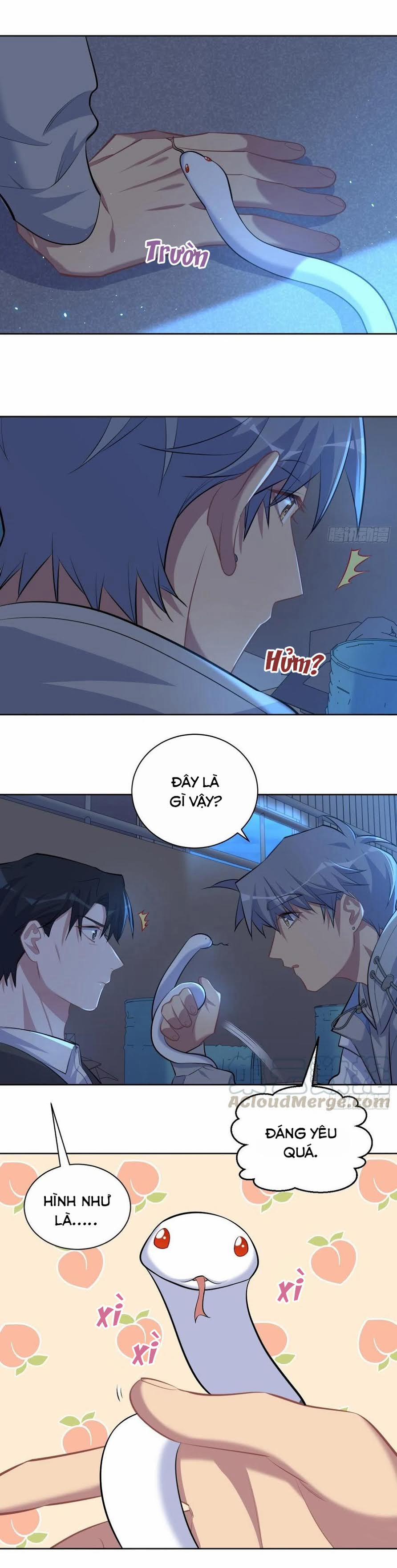 Bố Vợ Đại Nhân Là Bà Xã 105 trang 11