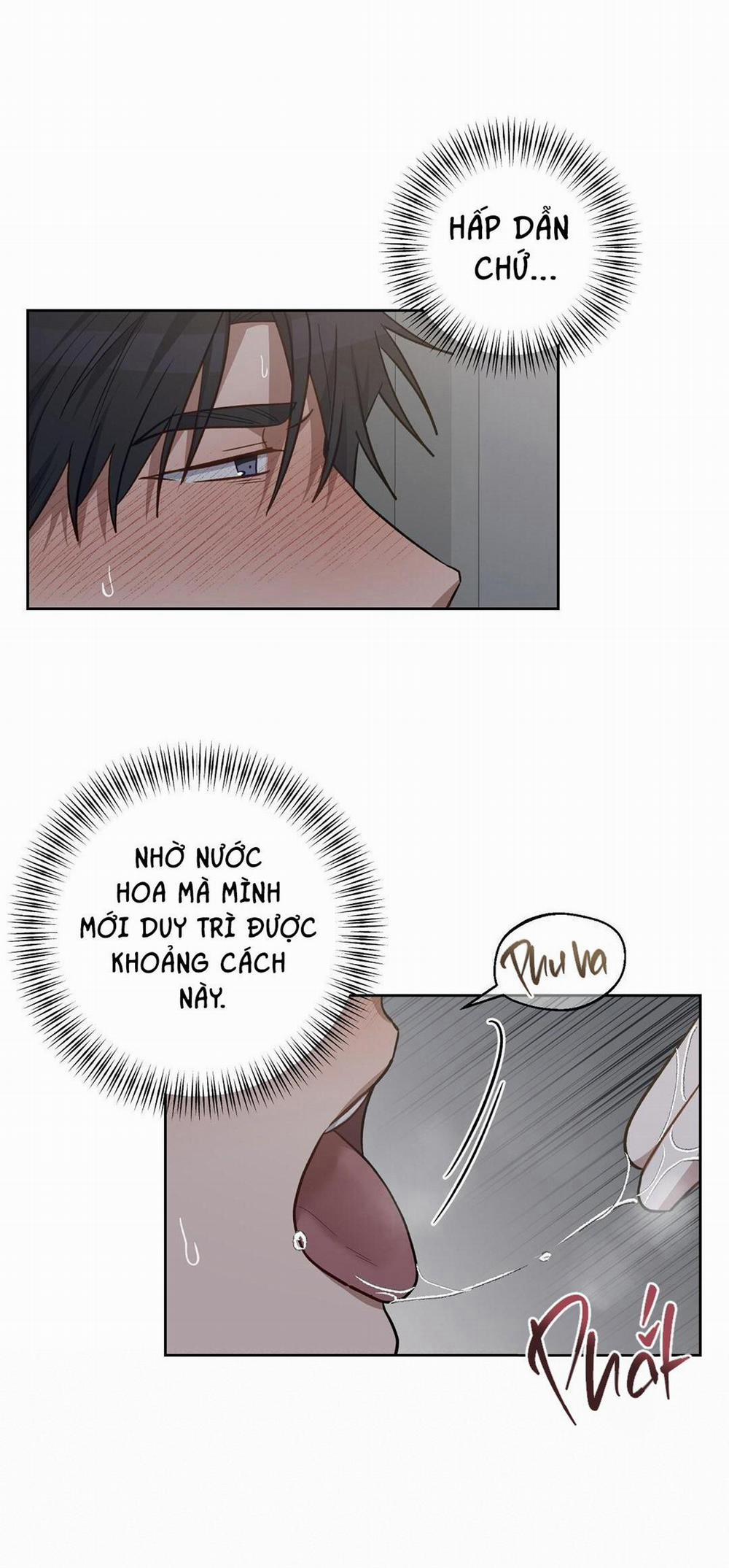 Bơi Trong Mùi Hương 22 trang 51