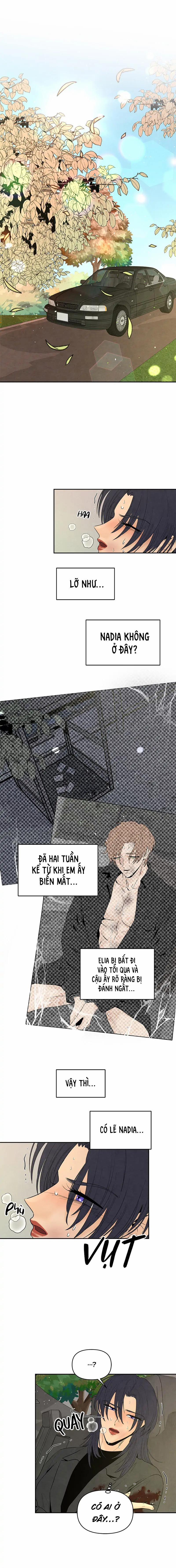 Bona Sort 68 trang 5