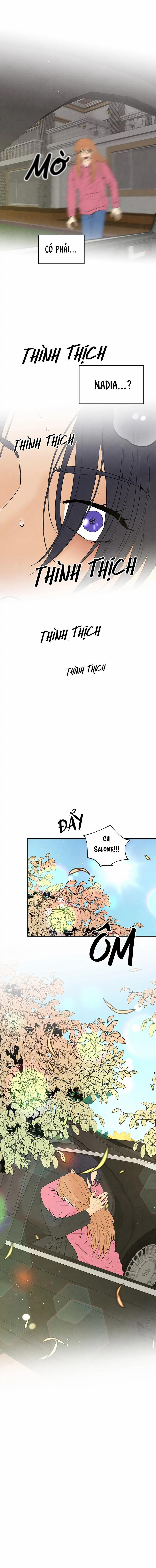 Bona Sort 68 trang 6