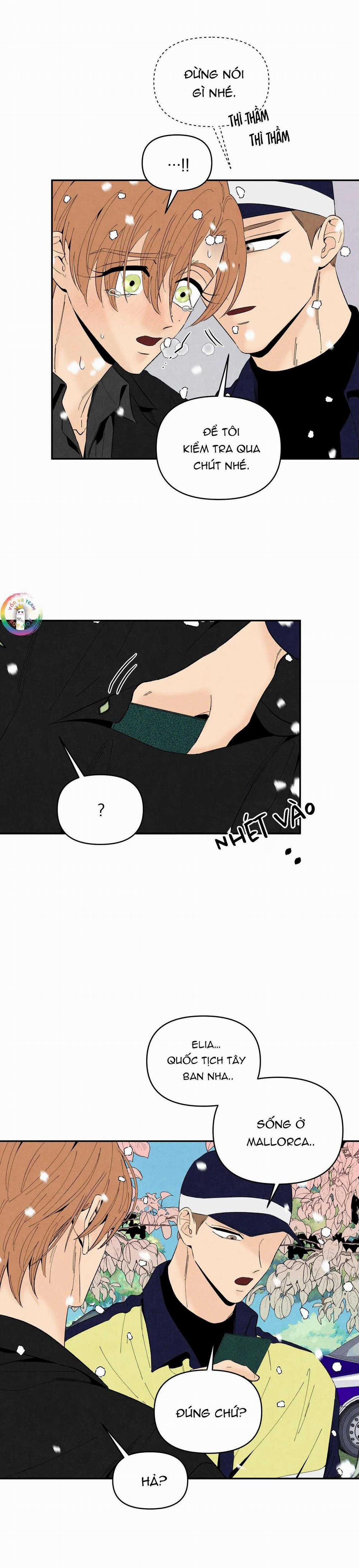 Bona Sort 70 trang 13