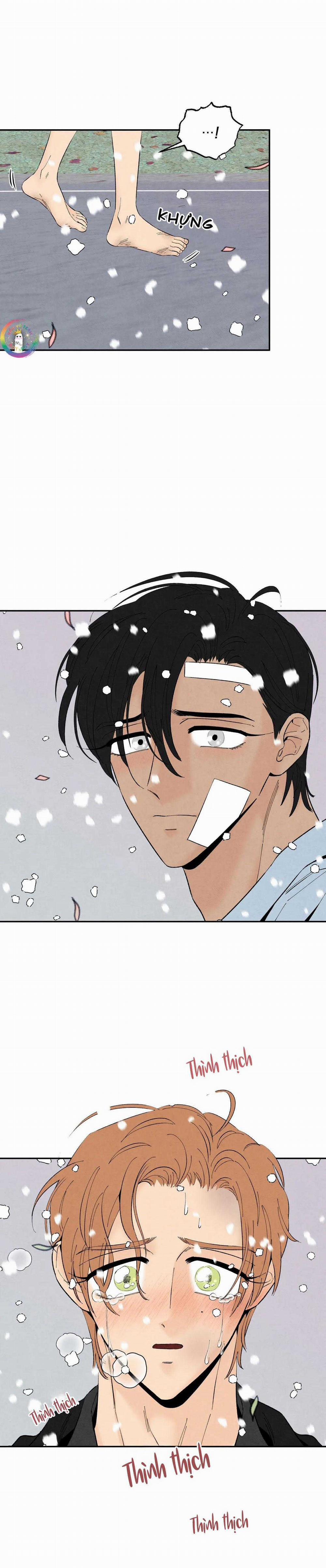 Bona Sort 70 trang 20