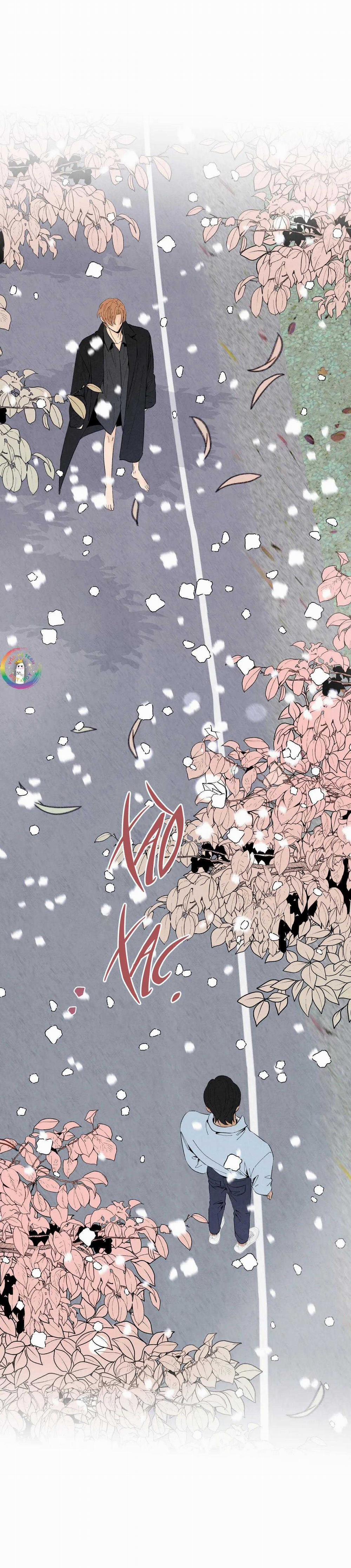 Bona Sort 70 trang 21