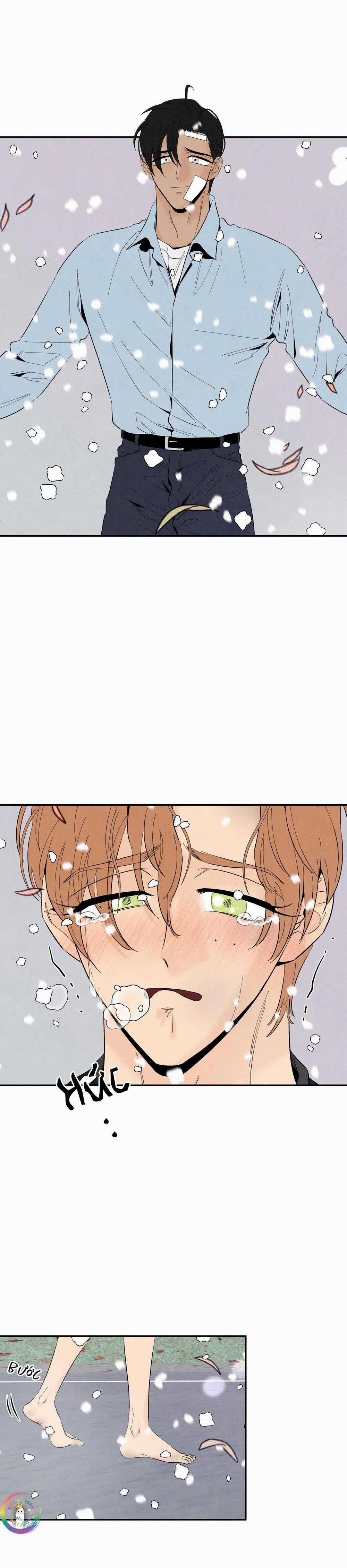 Bona Sort 70 trang 23