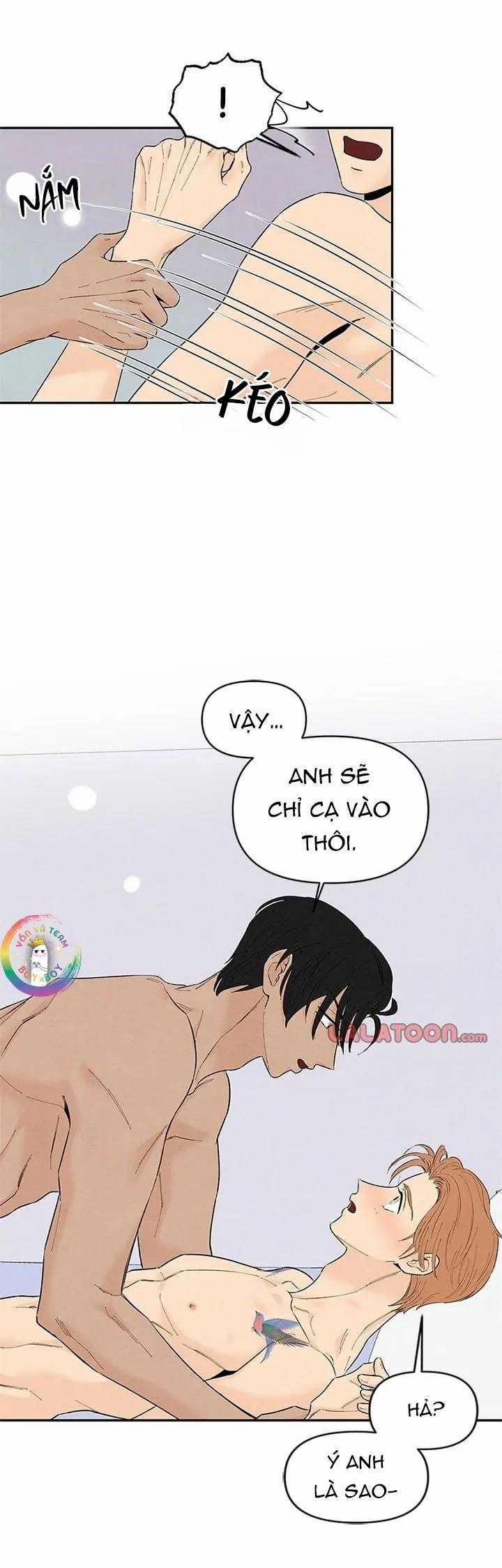 Bona Sort 71 trang 16