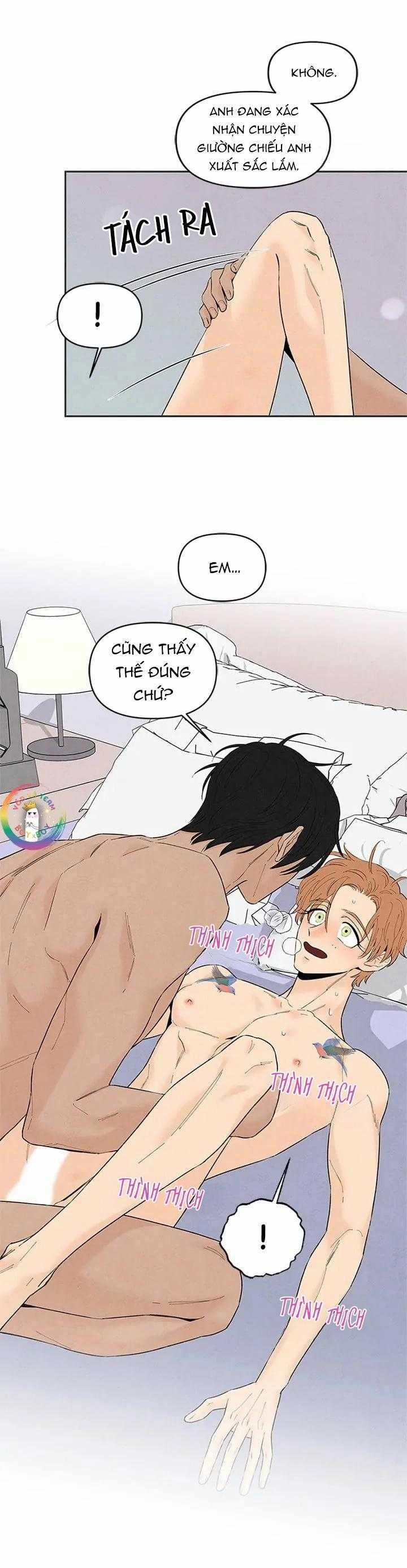 Bona Sort 71 trang 23