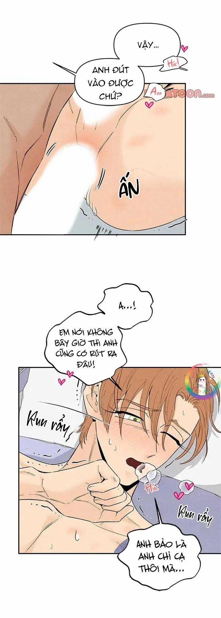 Bona Sort 71 trang 24