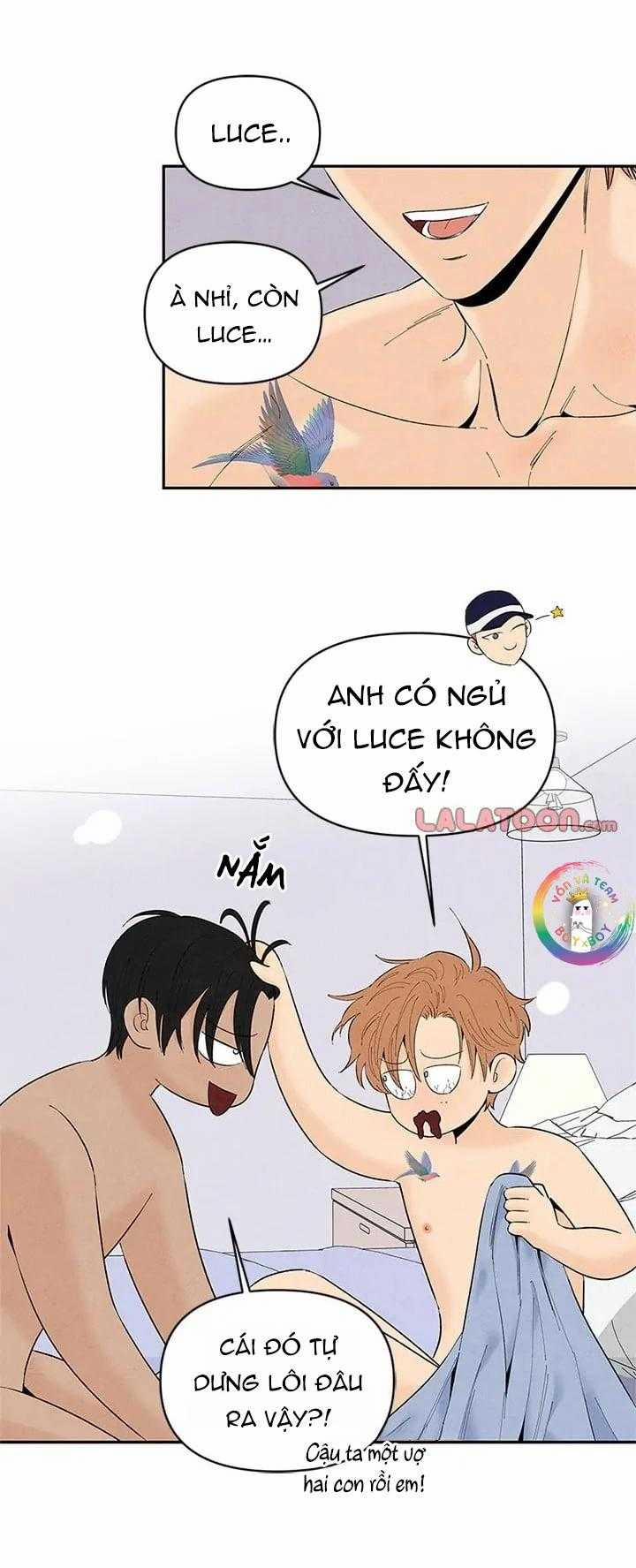 Bona Sort 71 trang 33