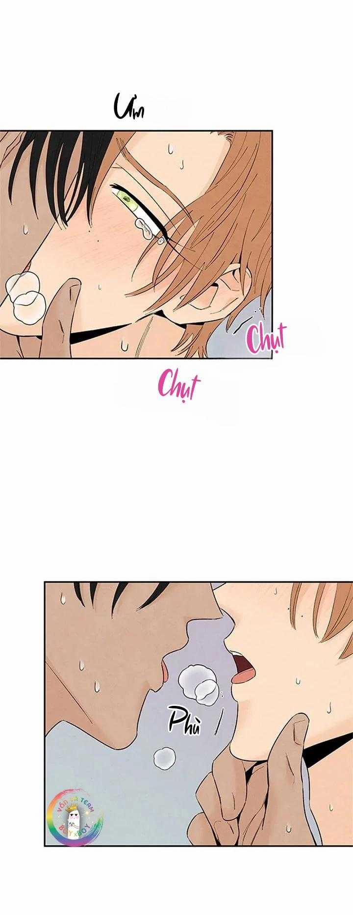 Bona Sort 71 trang 35