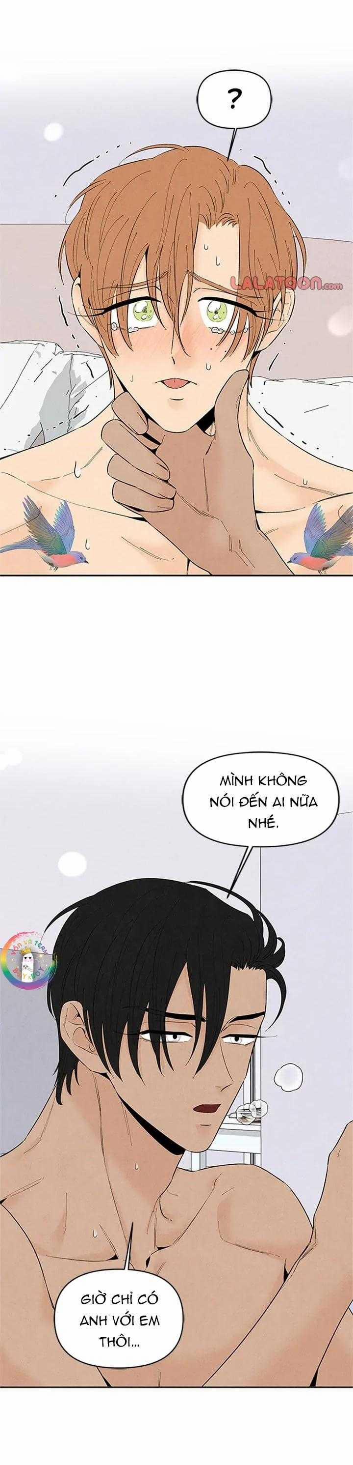 Bona Sort 71 trang 36