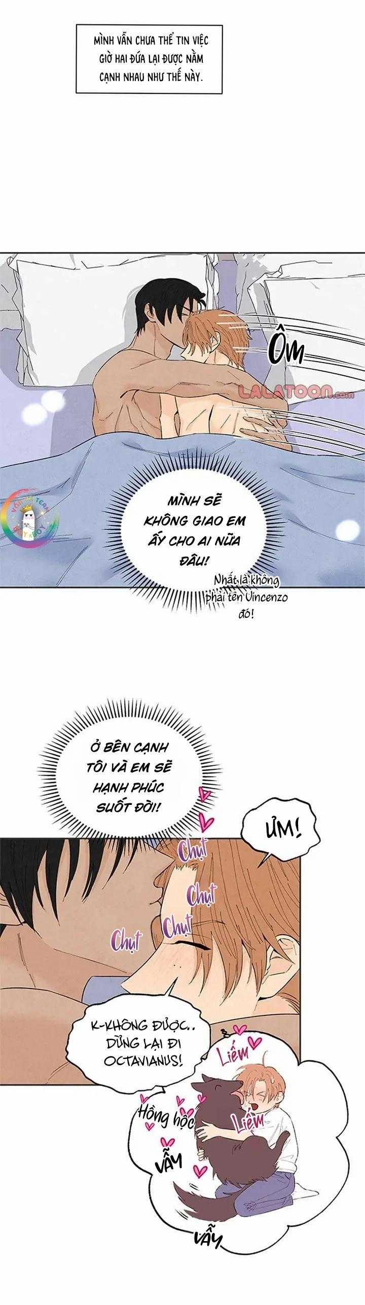 Bona Sort 71 trang 7