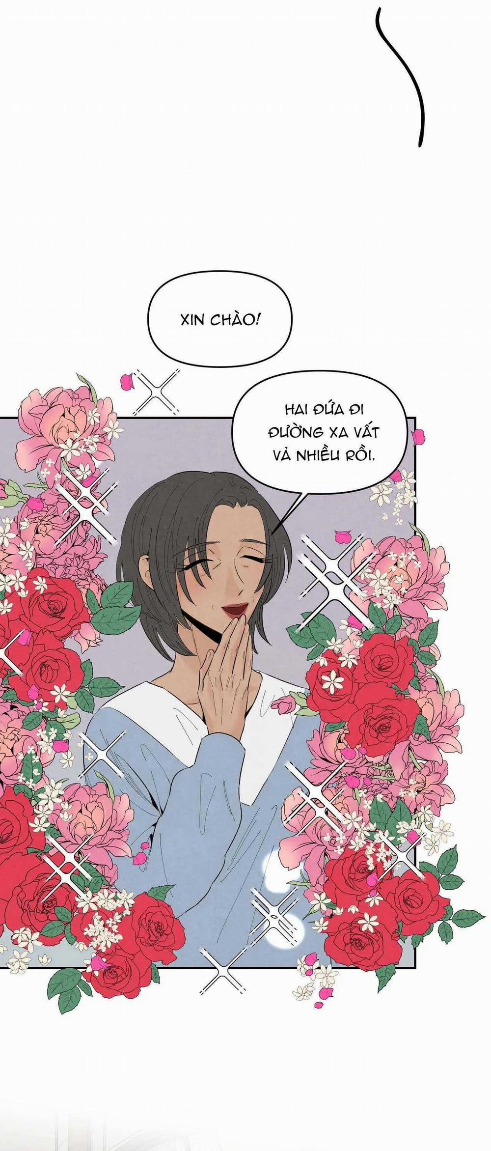 Bona Sort 73 trang 20