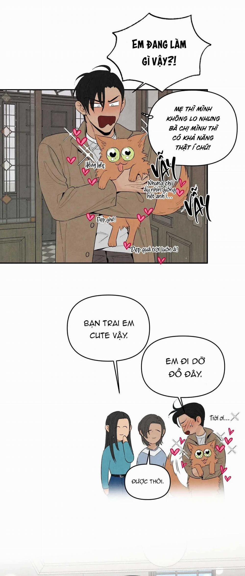 Bona Sort 73 trang 25