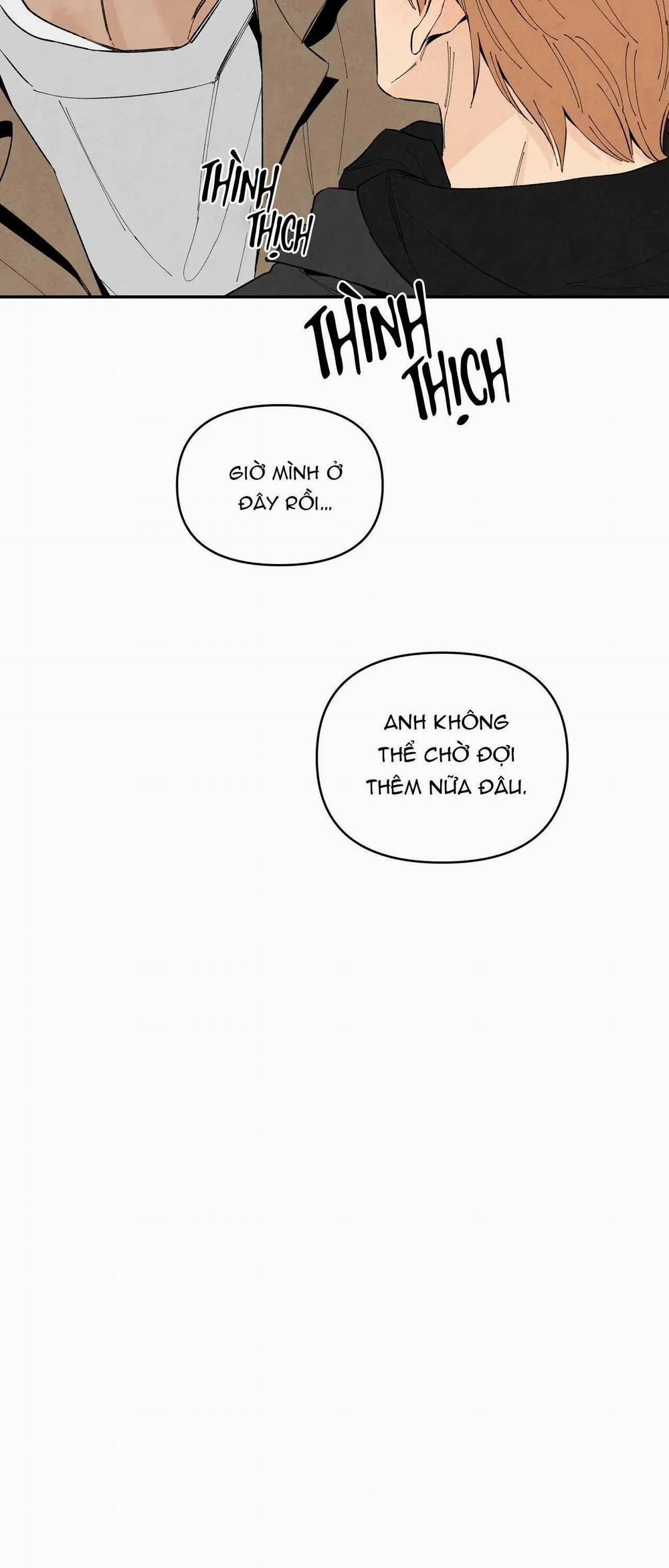 Bona Sort 73 trang 36