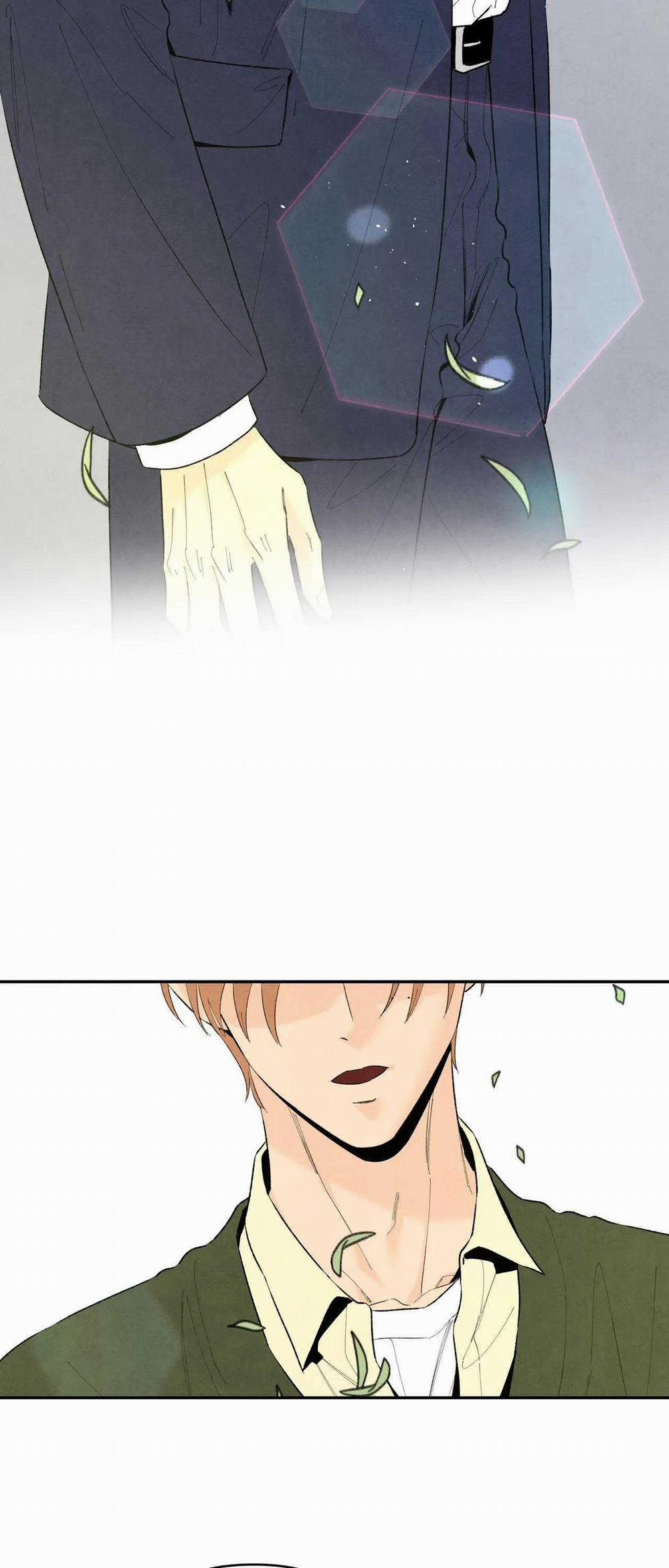 Bona Sort 73 trang 8