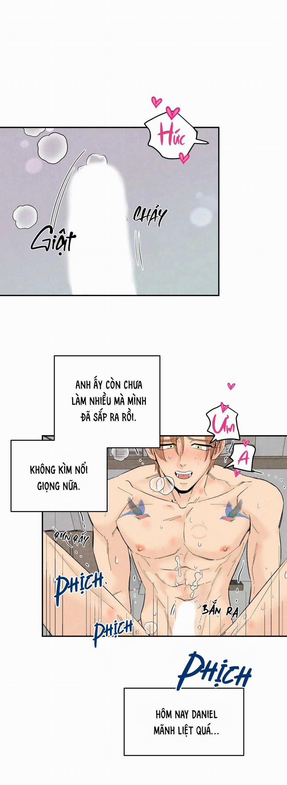 Bona Sort 74 trang 17