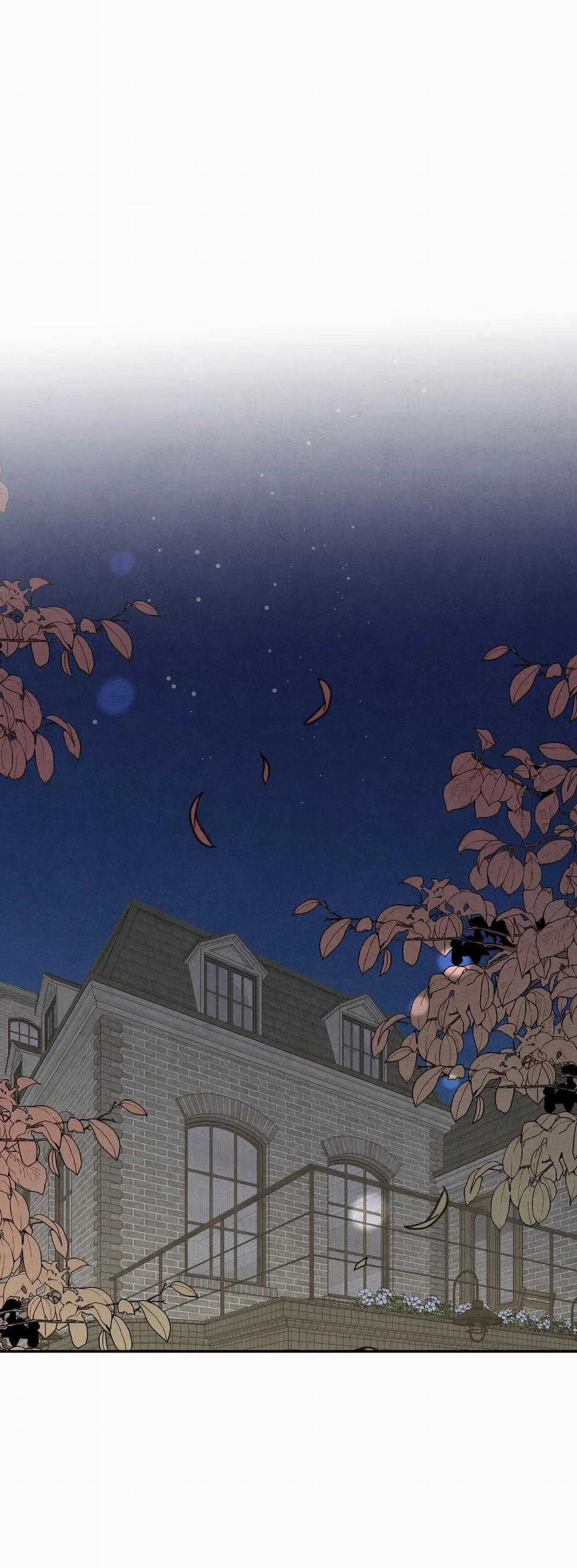 Bona Sort 74 trang 25