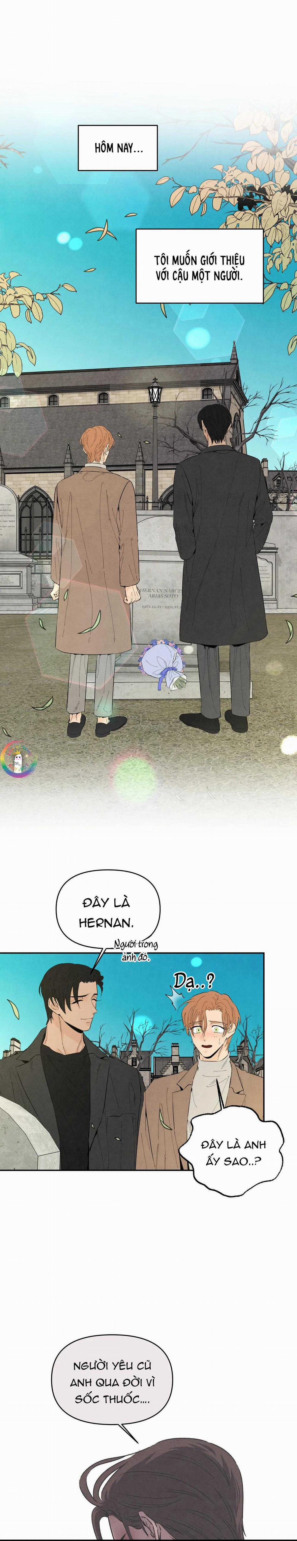 Bona Sort 75 trang 13