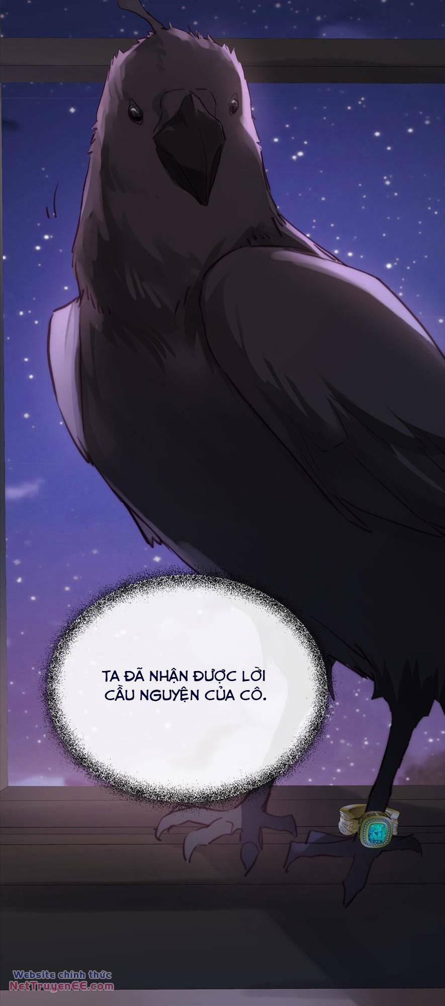 Bông Hoa Độc Của Nhà Công Tước 5 trang 0