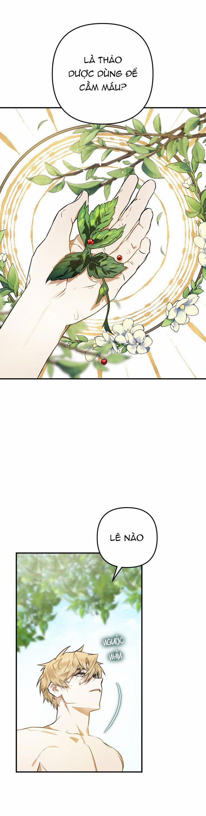 Bỗng Nhiên Tôi Trở Thành Quạ Đen!! 2.5 trang 7