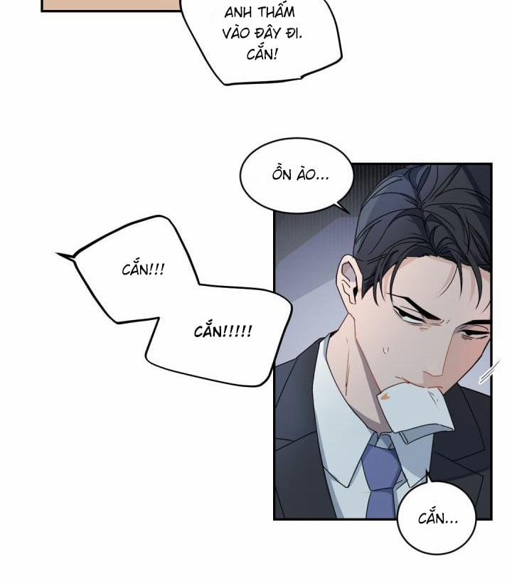 Boss Bitch Baby 64 trang 31