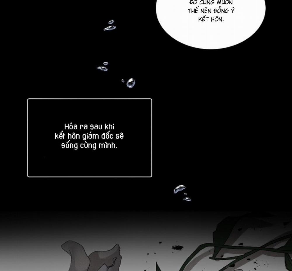 Boss Bitch Baby 65 trang 60