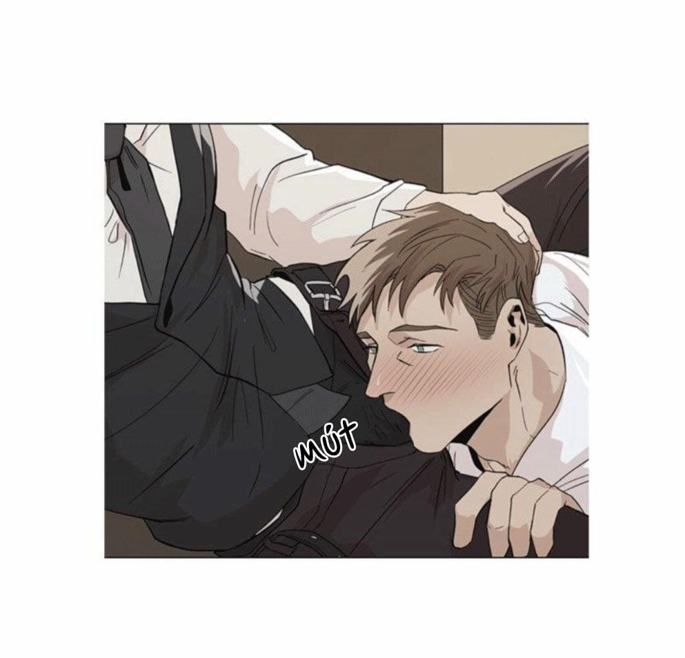 Boss Của Tôi Thật Quá Đáng 7 trang 28