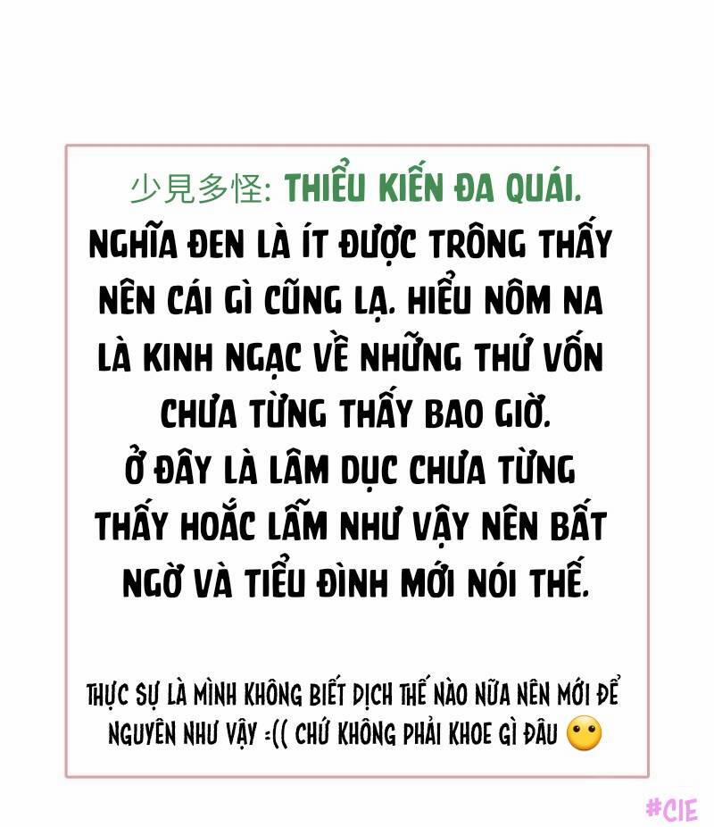 Boss Là Kim Chủ Của Tôi 52 trang 38