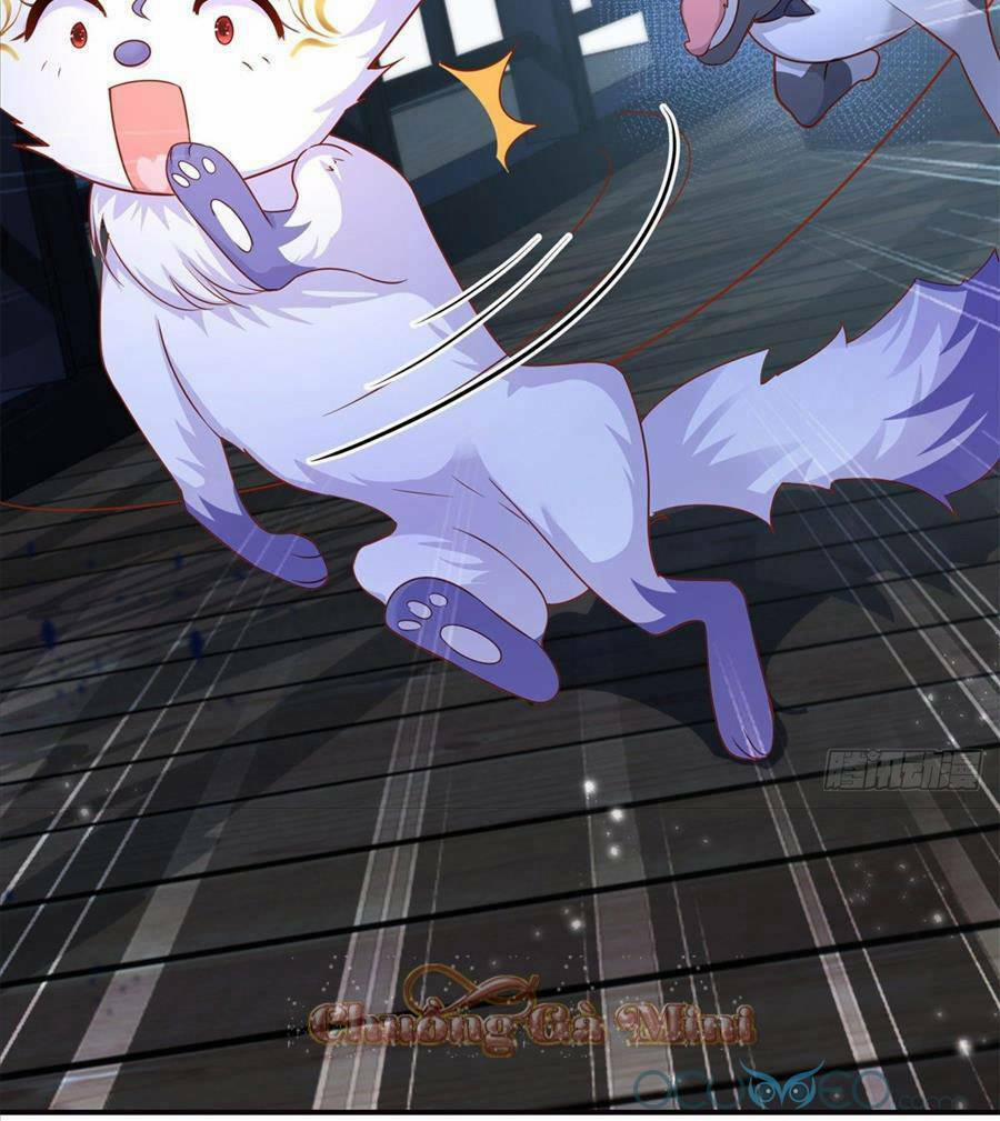 Boss Sát Thủ Dưỡng Hồ Yêu 0 trang 4