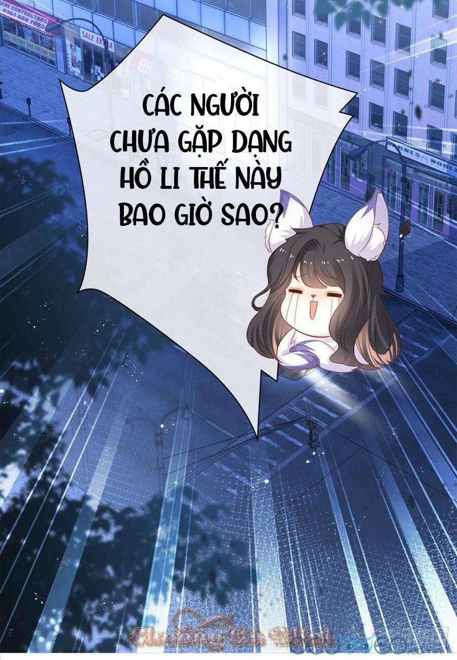 Boss Sát Thủ Dưỡng Hồ Yêu 0 trang 6